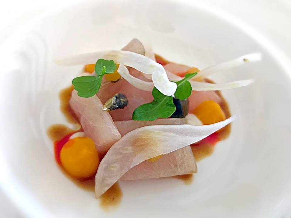 crudo di cefalo